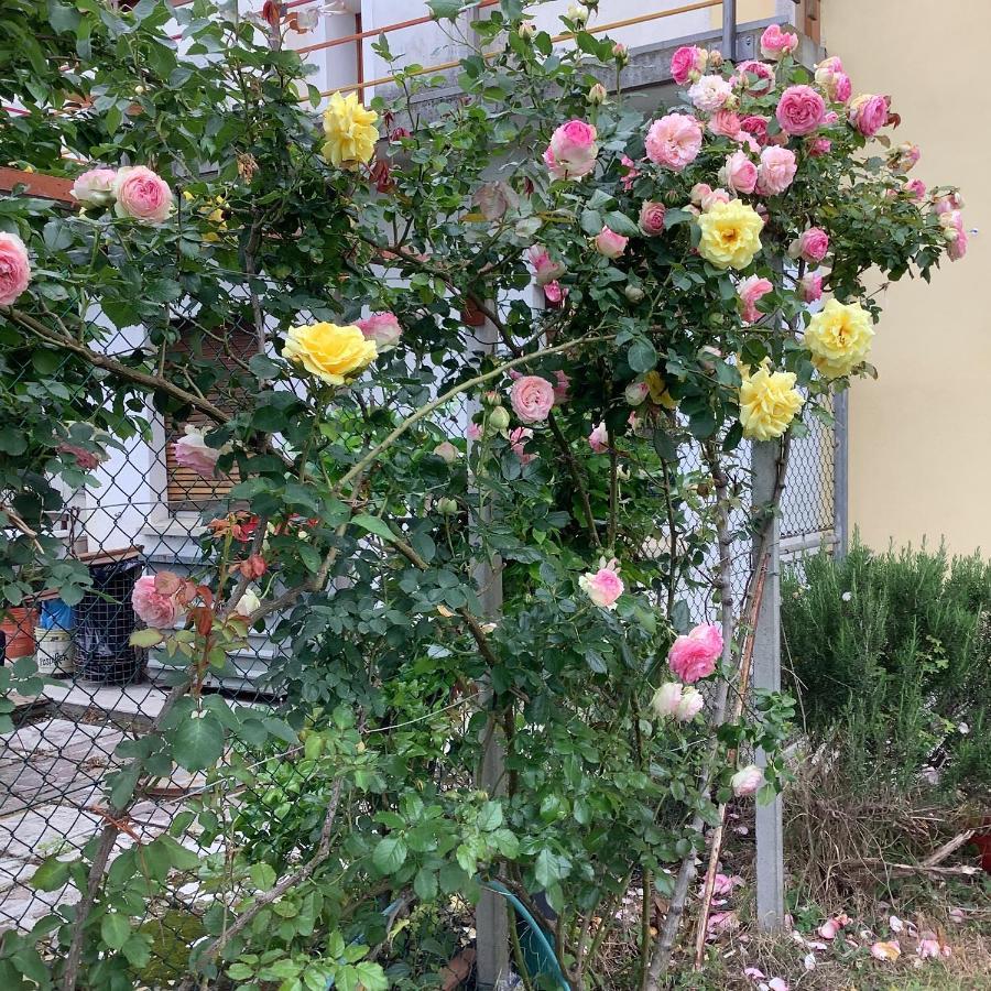 Ai Quattro Soli Privano Exteriör bild